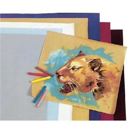 HYGLOSS PRODUCTS Hygloss 1326546 Paper Velour Assorted 20 x 27 Pack 24 1326546